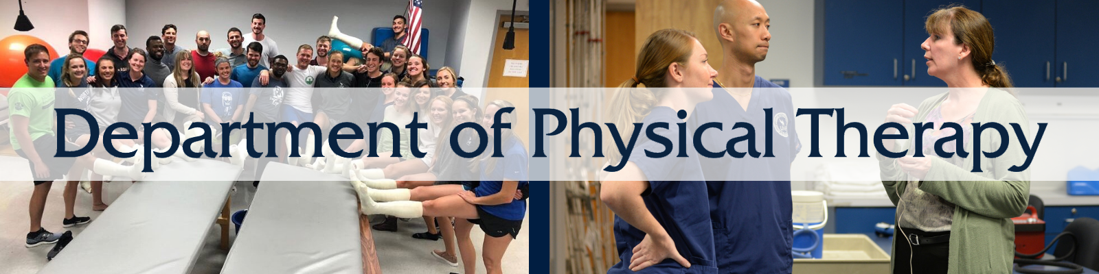 Physical Therap